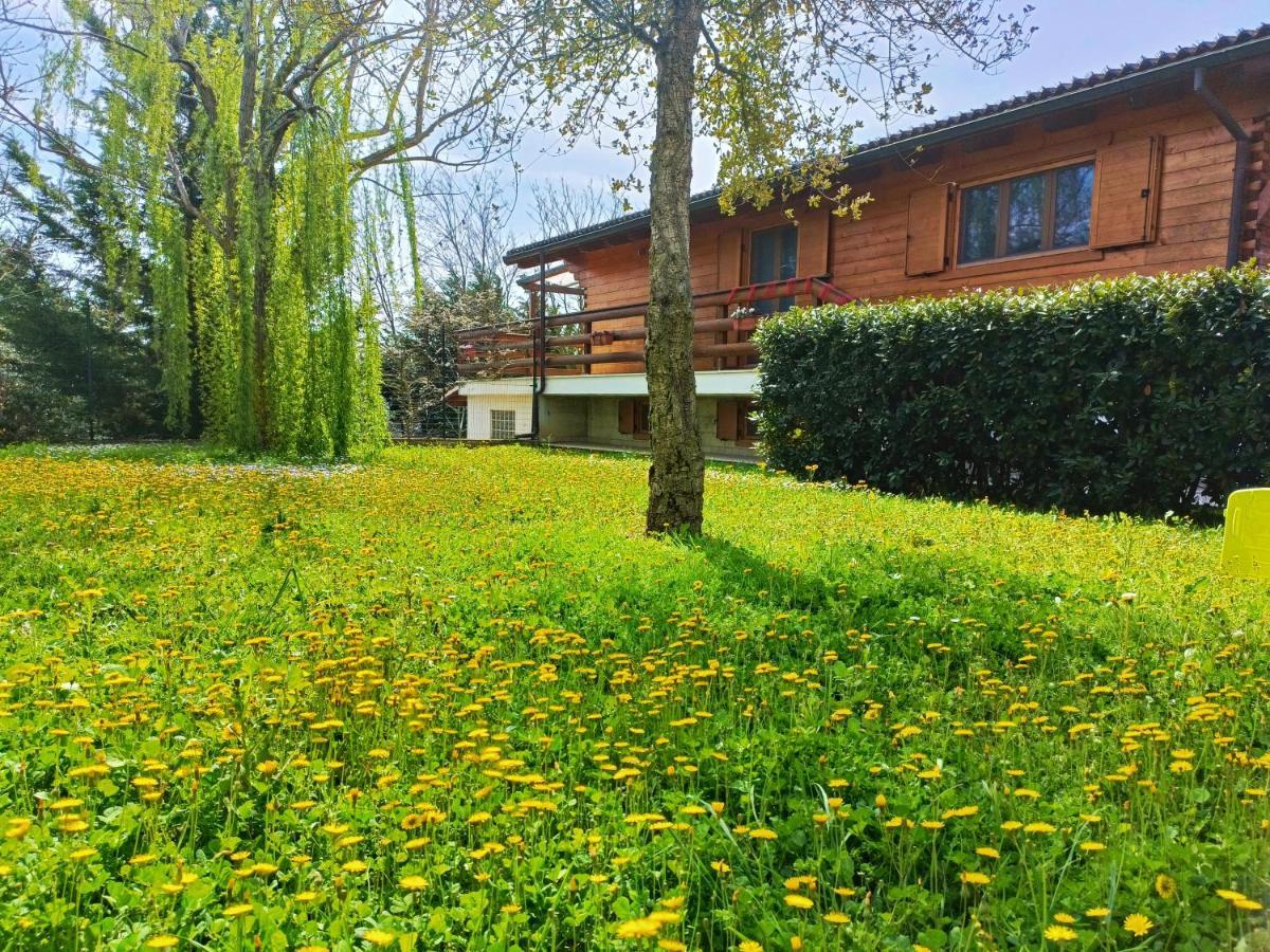 Holiday home Collalto Con Piscina Cerratina