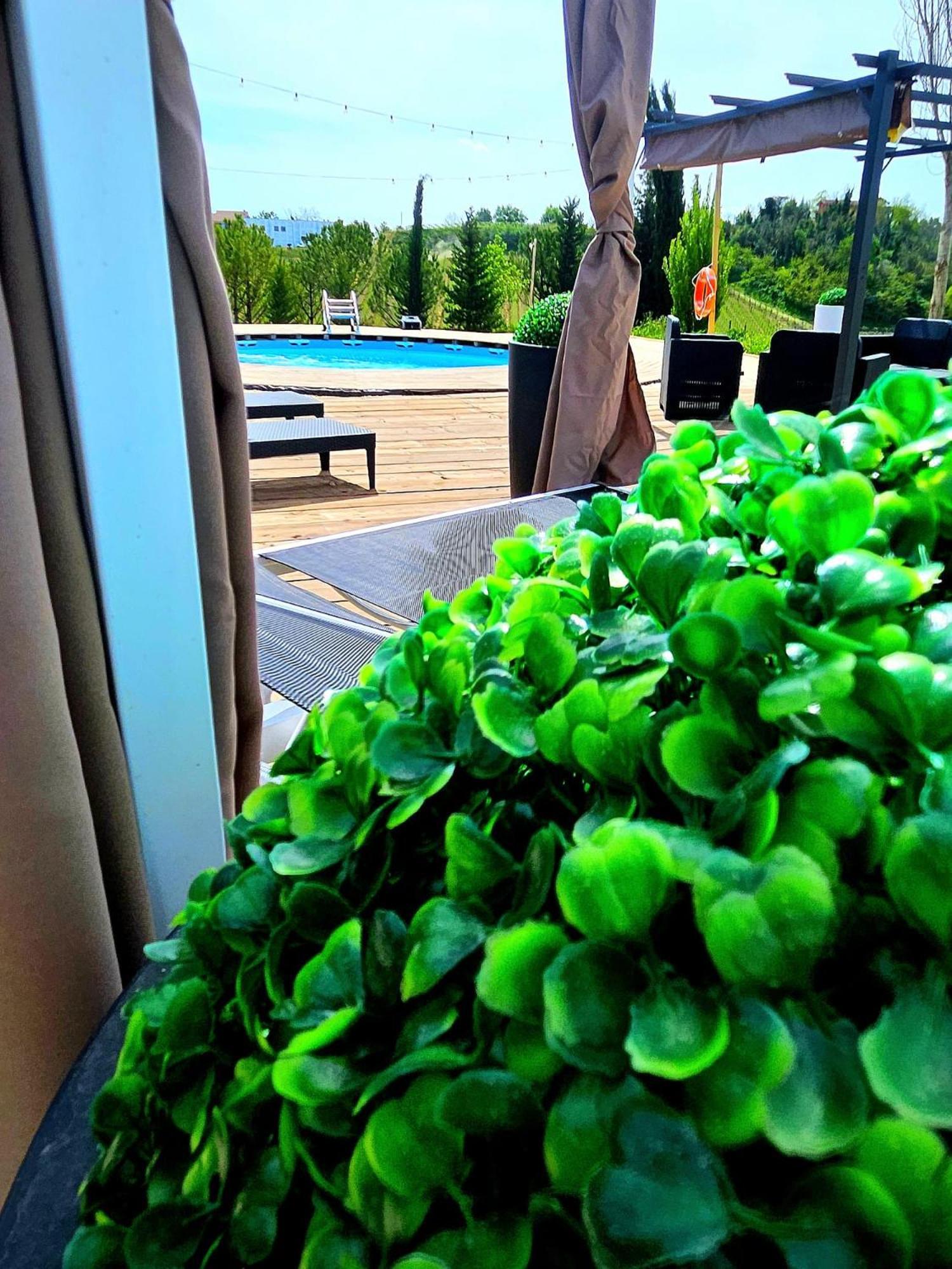 Collalto Con Piscina Holiday home Cerratina